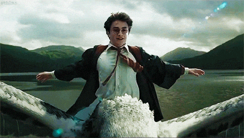 Harry Potter characters celebrating
